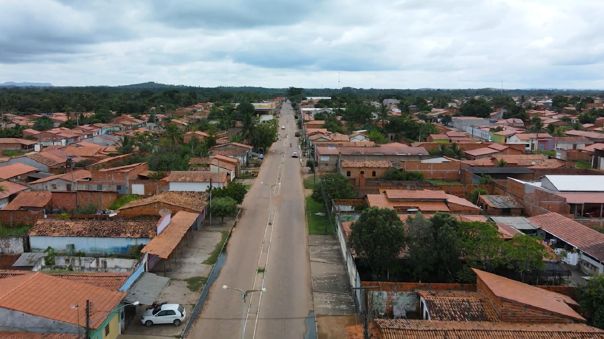 Davin�polis 6